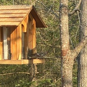 Meet your Posher, Chad